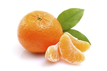 Mandarino Clementino "Citrus clementina" - immagine 2