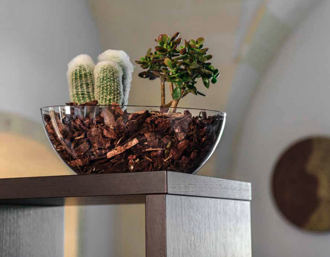 Vaso Trasparente orchidea/cymbidium - immagine 2