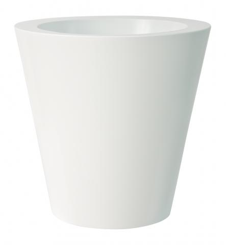 Vaso Kuno Gloss