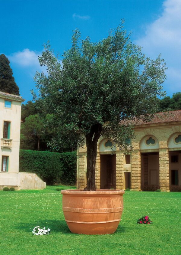 Vaso Ulivum 115cm