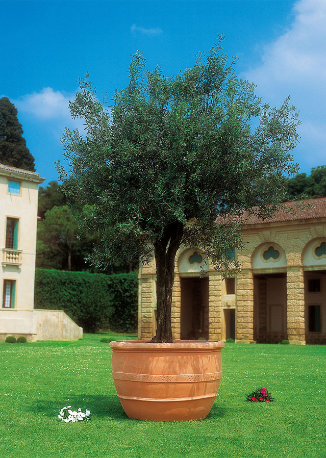 Vaso Ulivum 115cm