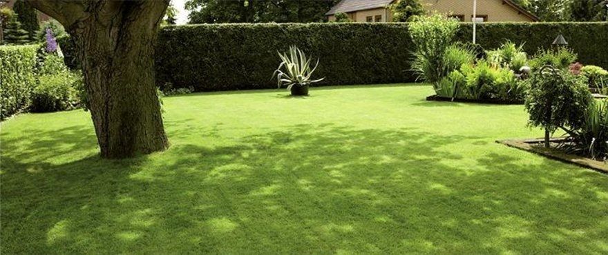 Shadow & Sun - Semi per prato in zone all’ombra e al sole - immagine 2