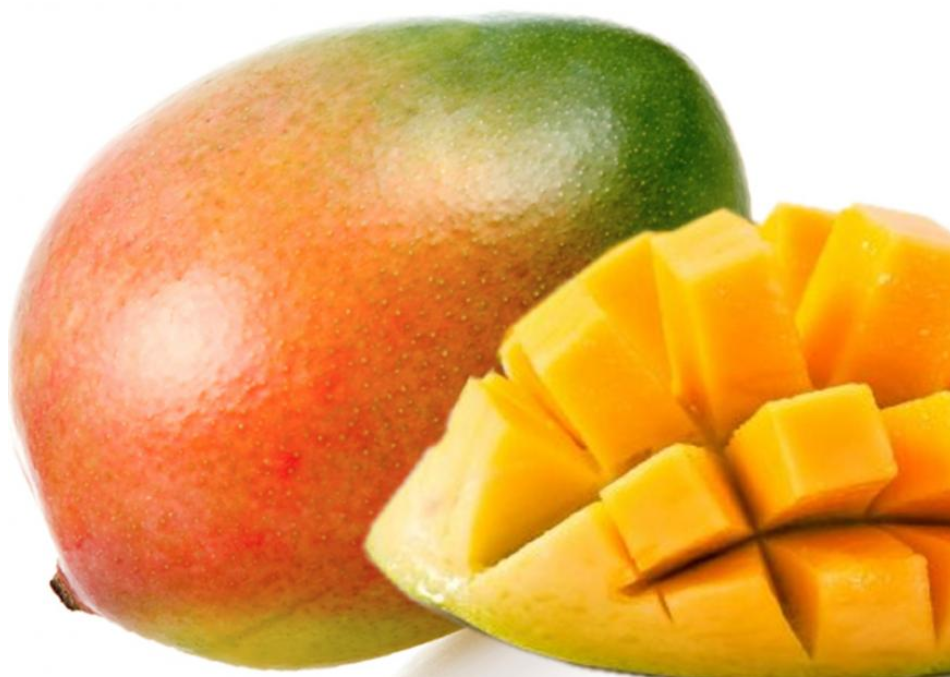 Mango - Mangifera indica