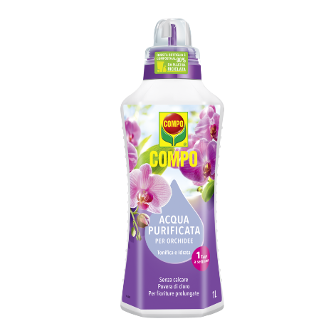 Acqua purificata per Orchidee