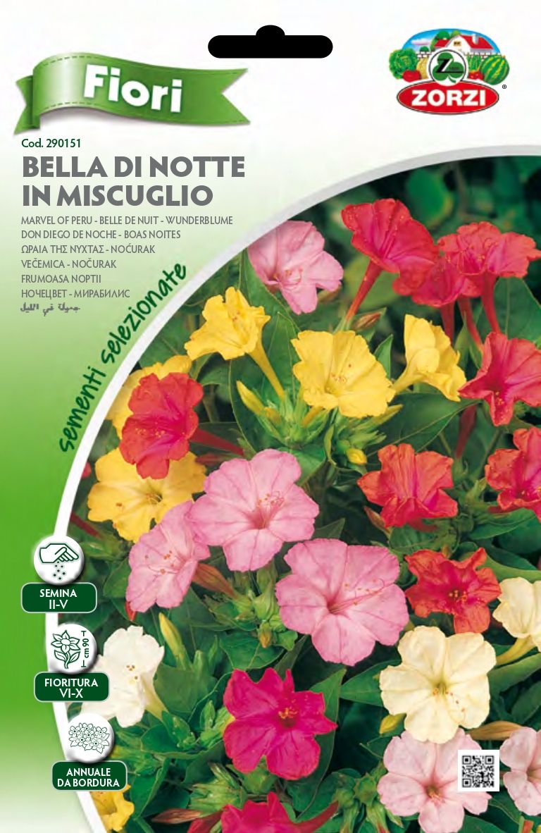 Bella Di Notte Mix