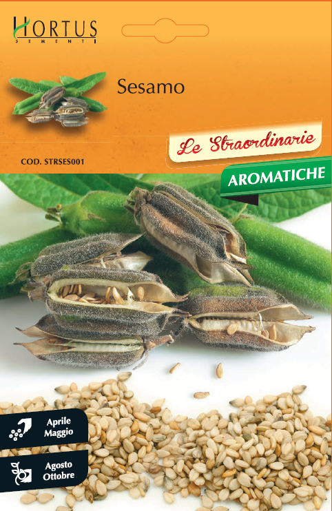 Sesamo