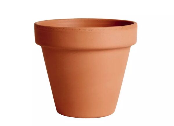 Vaso Standard