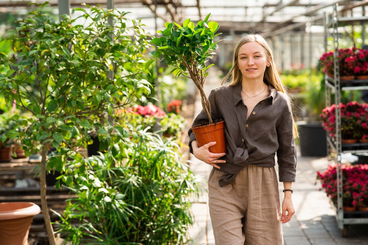 Il vaso giusto per il tuo giardino e per il tuo balcone: materiali, dimensioni, substrato e drenaggio